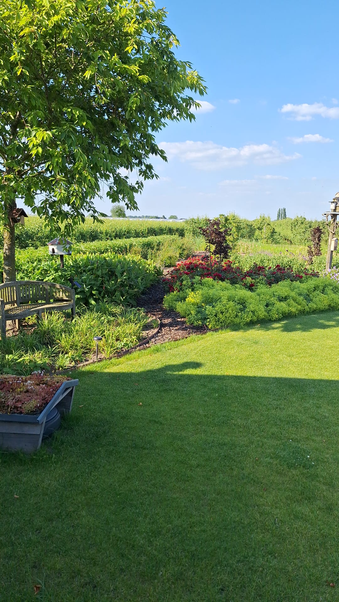 Photo 46 of Wijkersloot 8