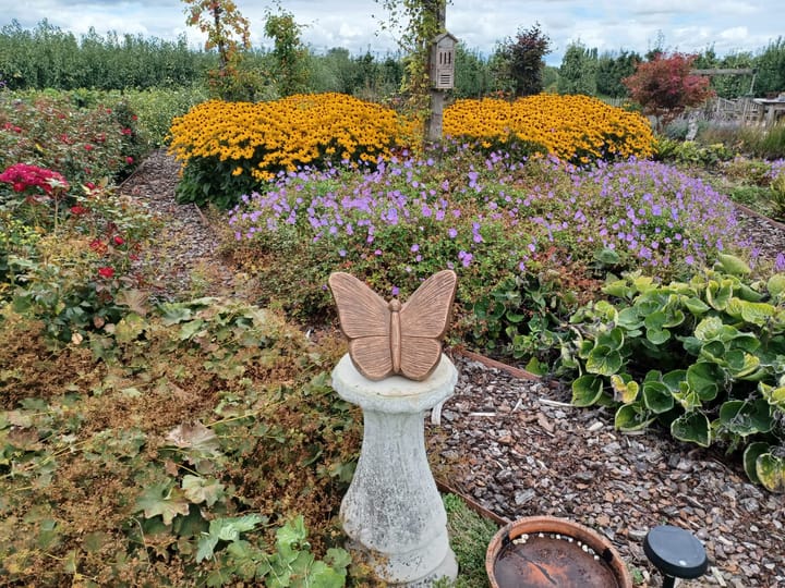 Photo 47 of Wijkersloot 8