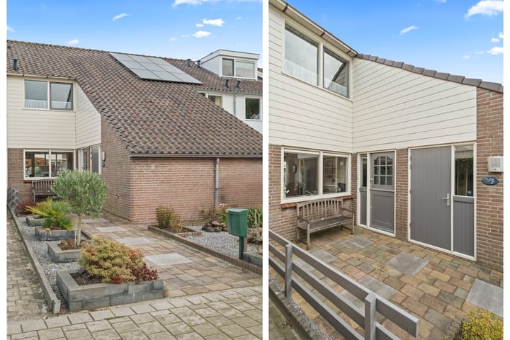 Photo 3 of Purperreiger 7