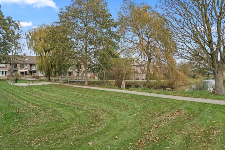 Photo 30 of Purperreiger 7