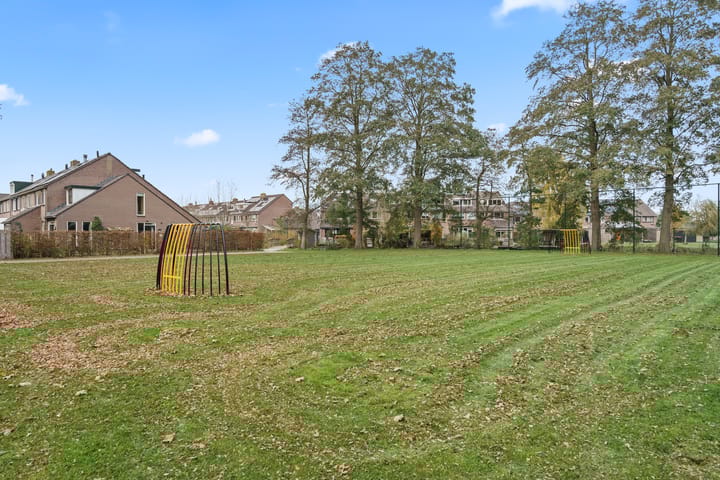 Photo 31 of Purperreiger 7