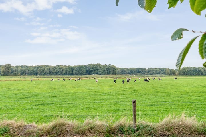 Foto 59 van Baalder-Esch 29