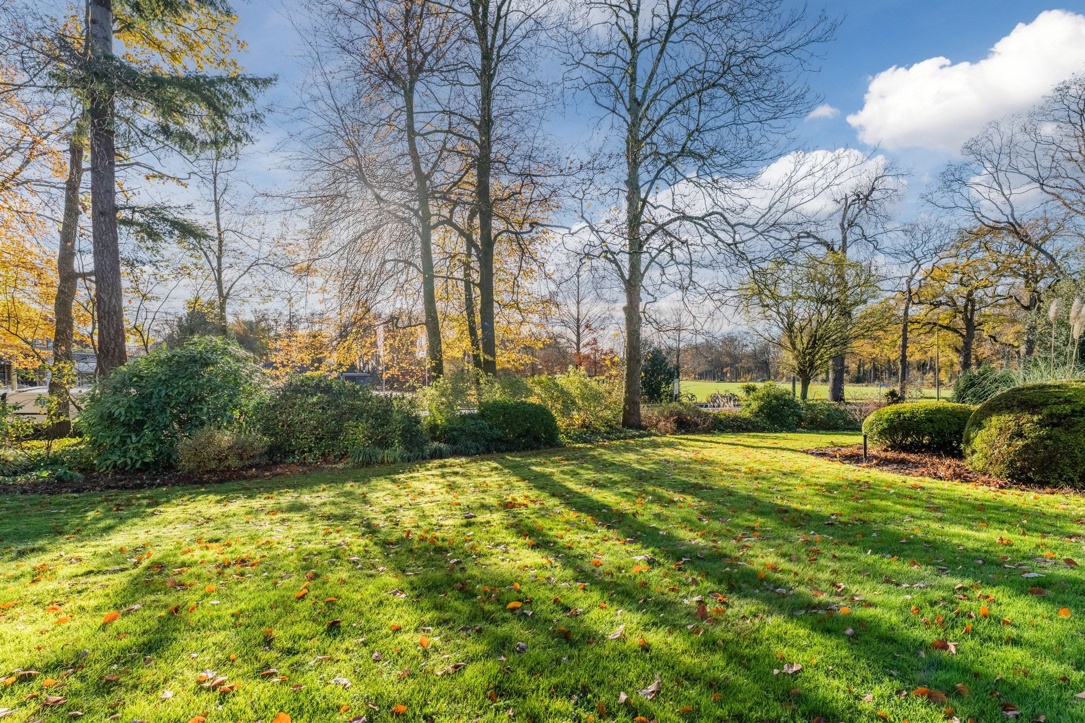 Foto 69 van Beau Lieu 11