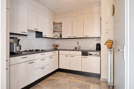 Neptunus 4 tertiary image