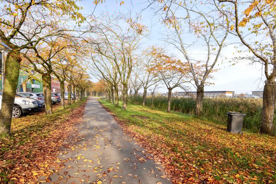 Foto 37 van Sepiastraat 50