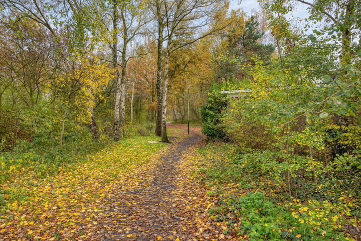 Foto 50 van Neptunus 4