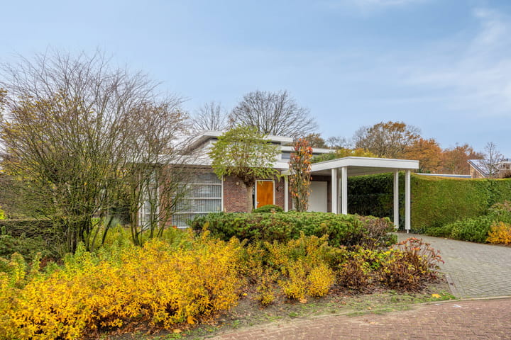 Foto 55 van Neptunus 4