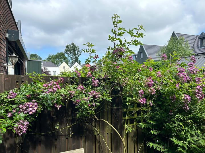 Foto 47 van N. Lansdorpstraat 21