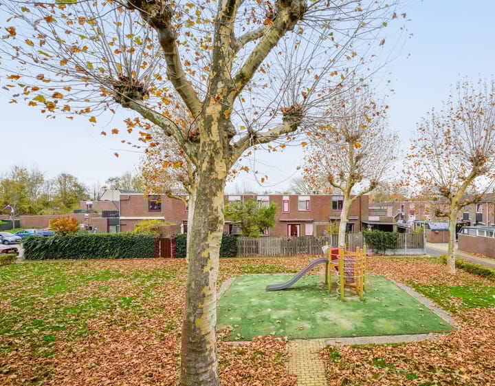 Photo 22 of Rozenwerf 178