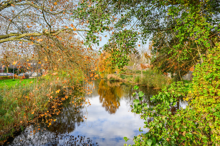 Photo 23 of Rozenwerf 178