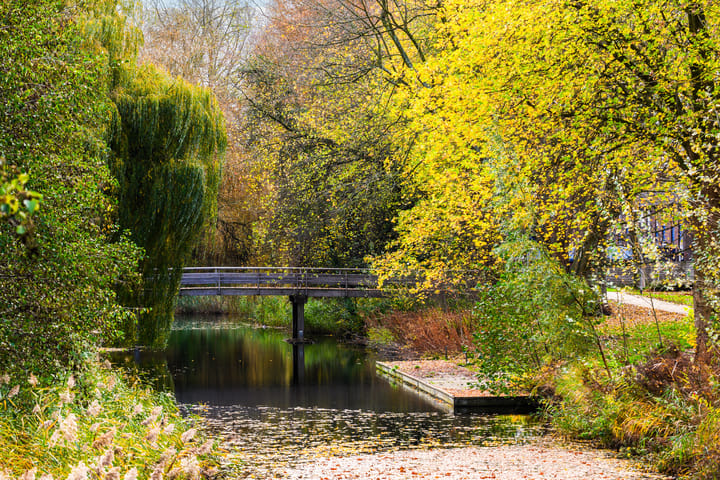 Photo 31 of Rozenwerf 178