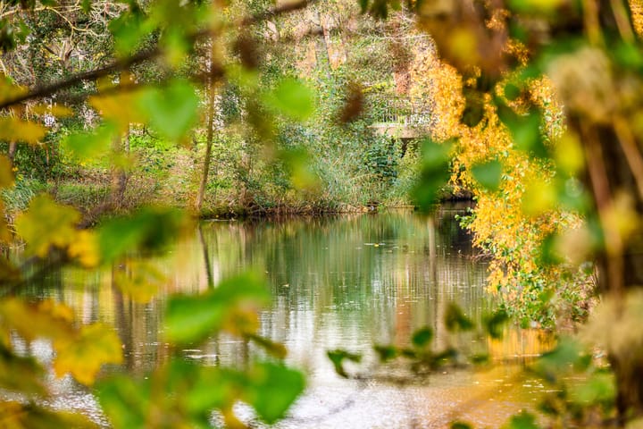 Photo 32 of Rozenwerf 178