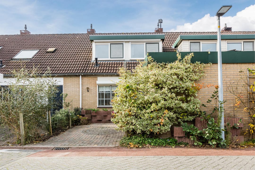 Foto 1 van Griend 38 5