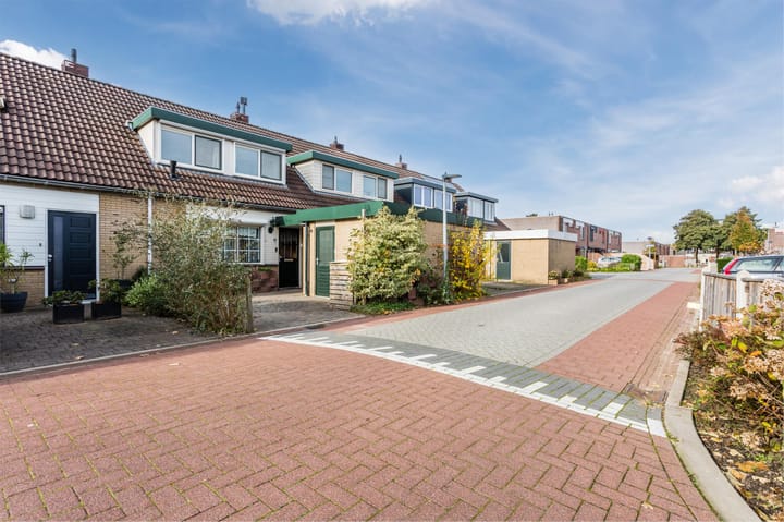 Foto 2 van Griend 38 5