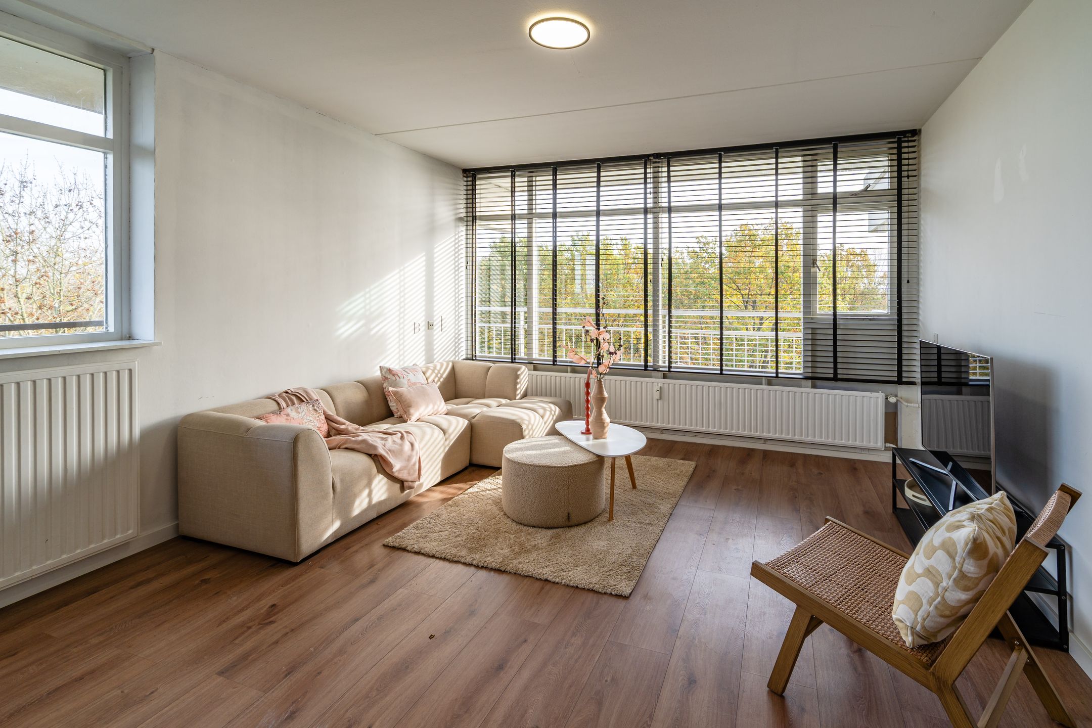 Foto 3 van Lupinesingel 156