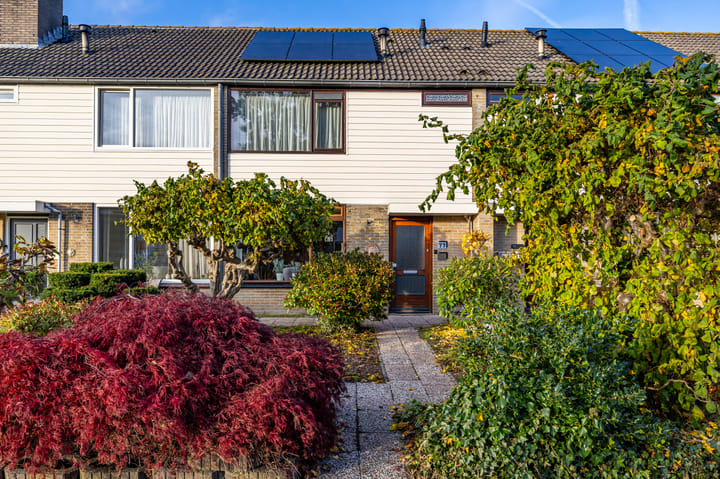 Foto 35 van Oslofjord 77