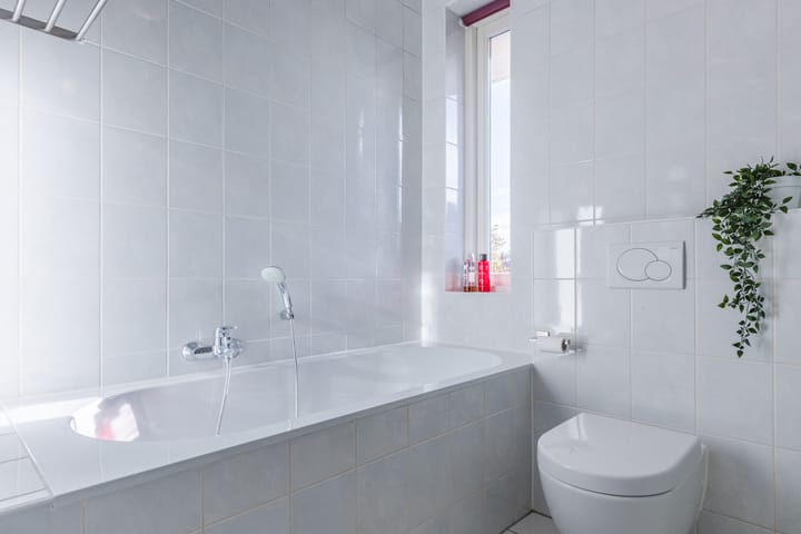 Photo 28 of Parelmoervlinder 67