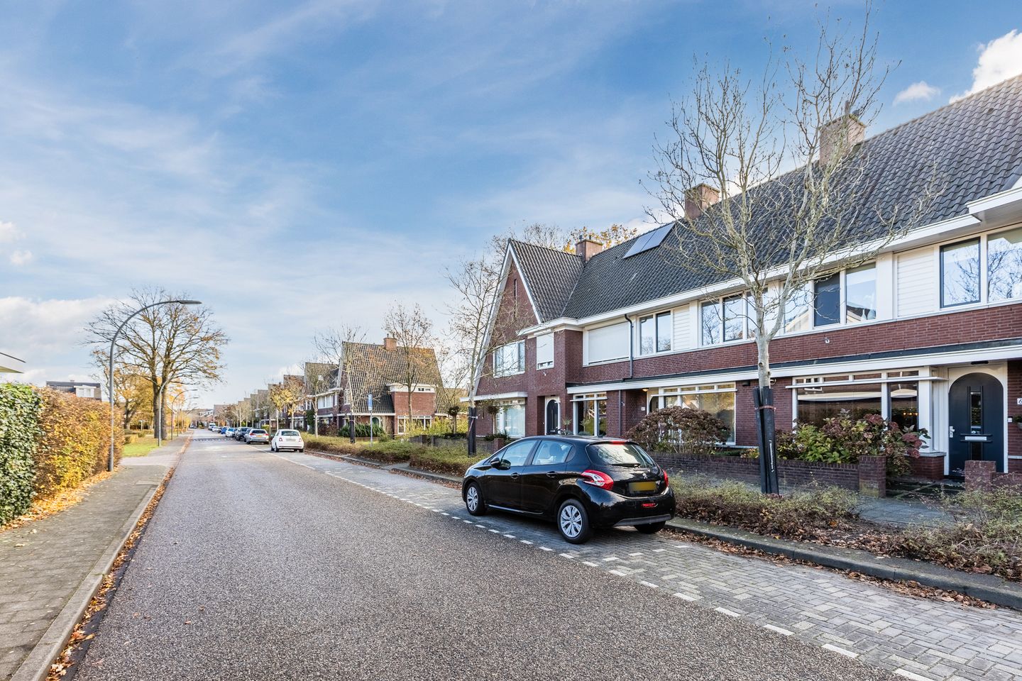 Foto 44 van Parelmoervlinder 67