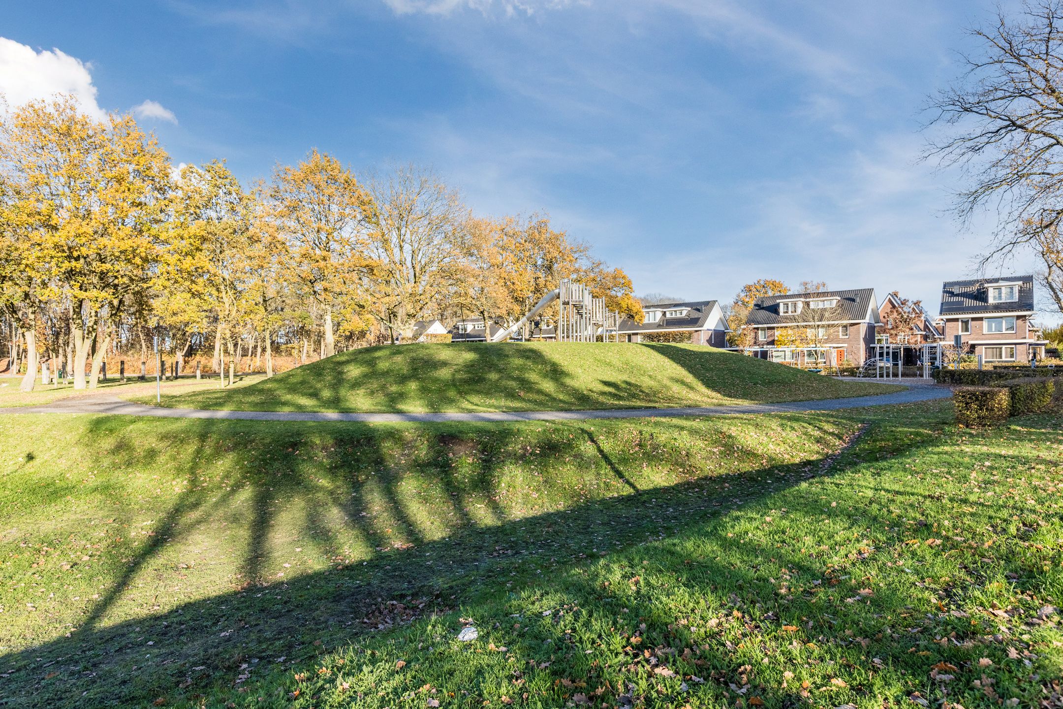 Foto 45 van Parelmoervlinder 67