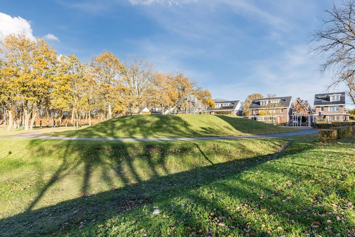 Photo 45 of Parelmoervlinder 67