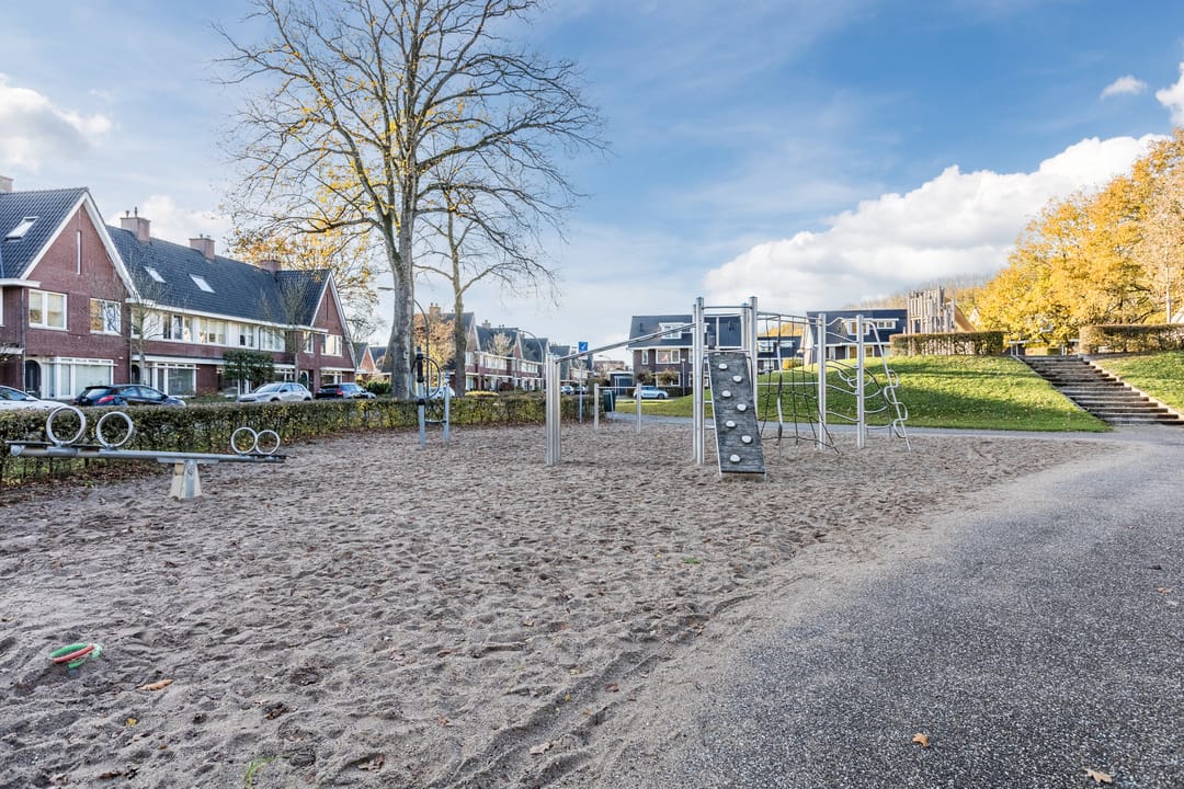 Foto 46 van Parelmoervlinder 67