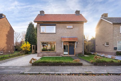 undefined main image