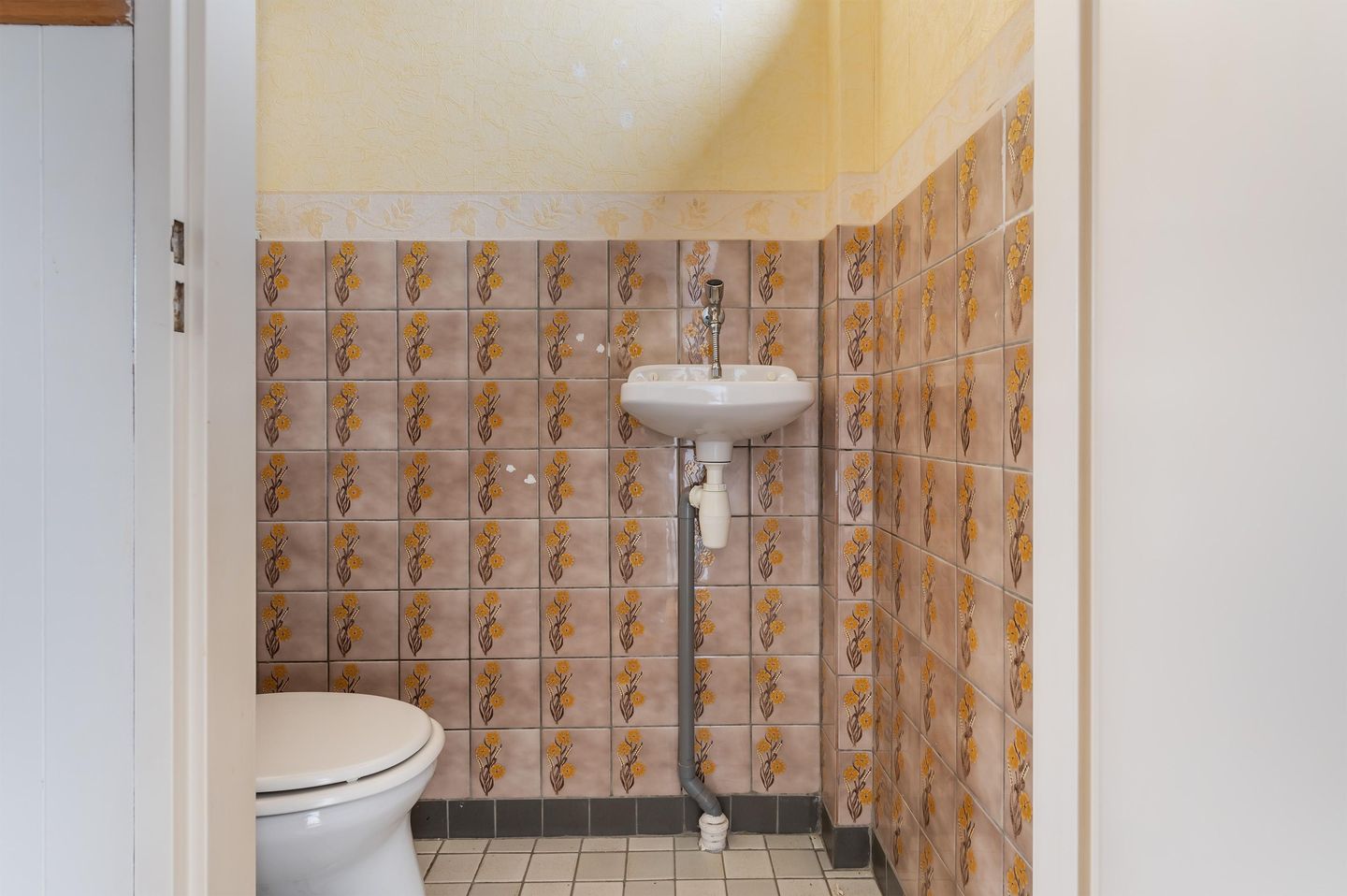 Foto 4 van Malvert 2009