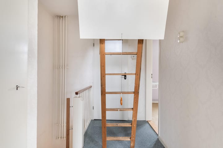 Photo 10 of Malvert 2009