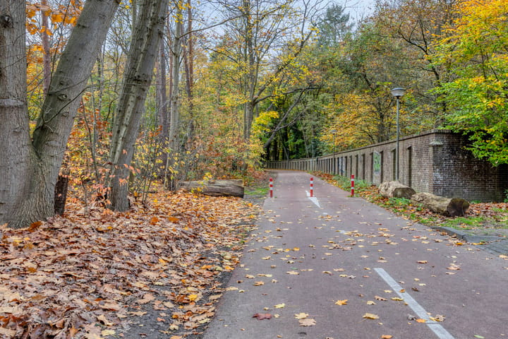 Photo 21 of Sporenring 226