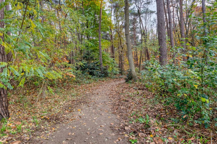 Photo 22 of Sporenring 226