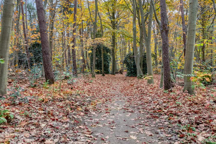 Photo 23 of Sporenring 226