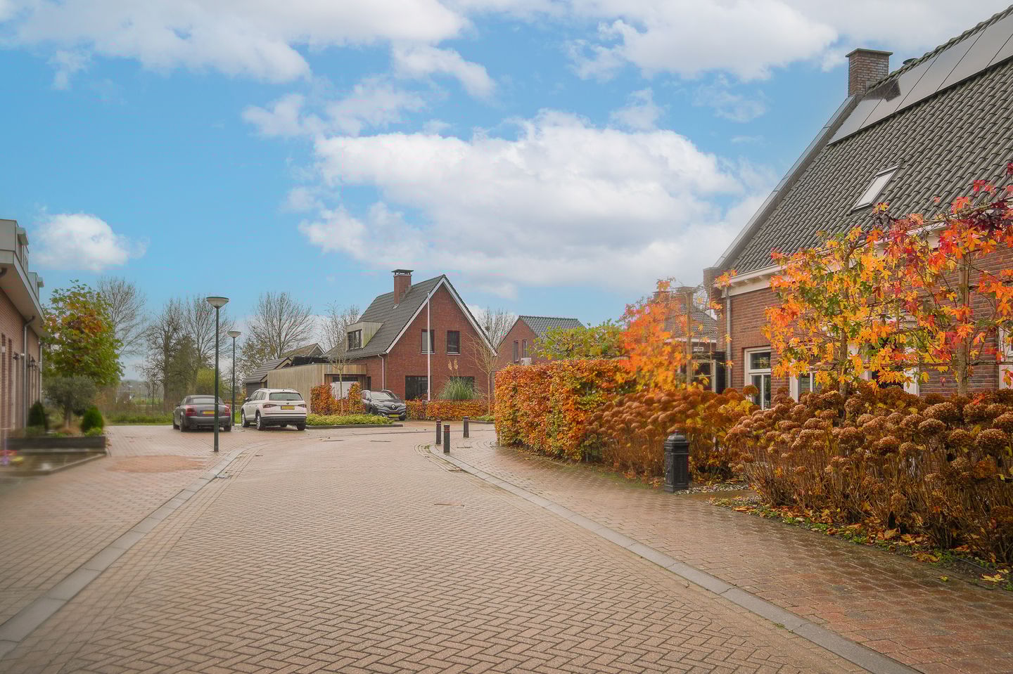 Foto 55 van Bollenhoef 4