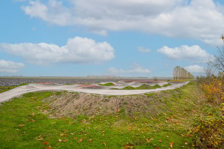 Foto 60 van Bollenhoef 4