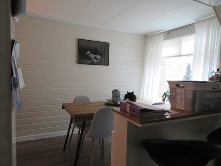 Foto 3 van Van Limburg Stirumstraat 19