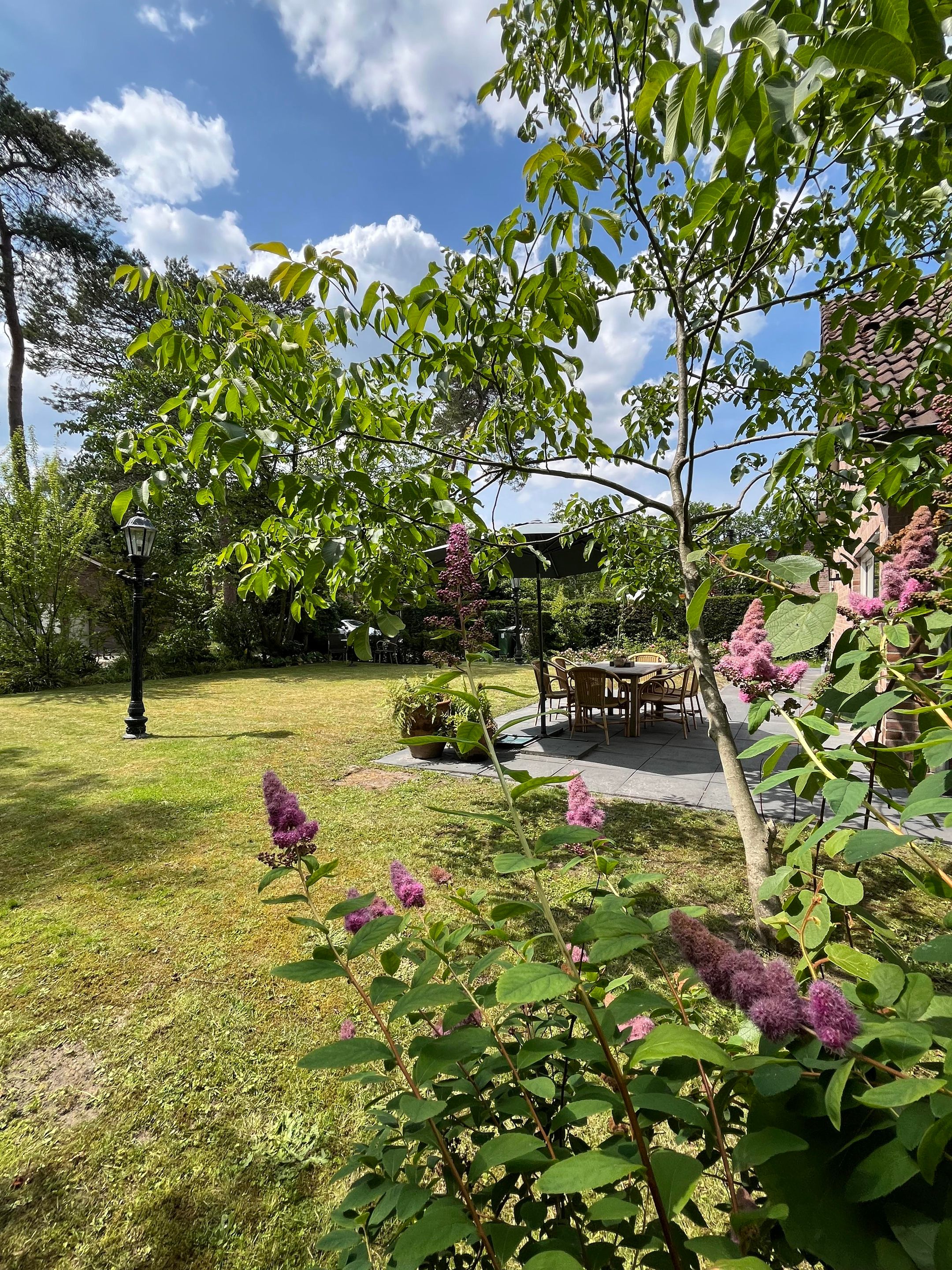 Foto 21 van Oirschotsebaan 13-A25