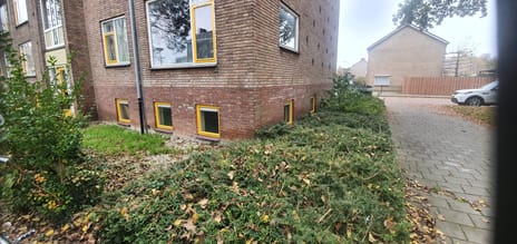 undefined main image