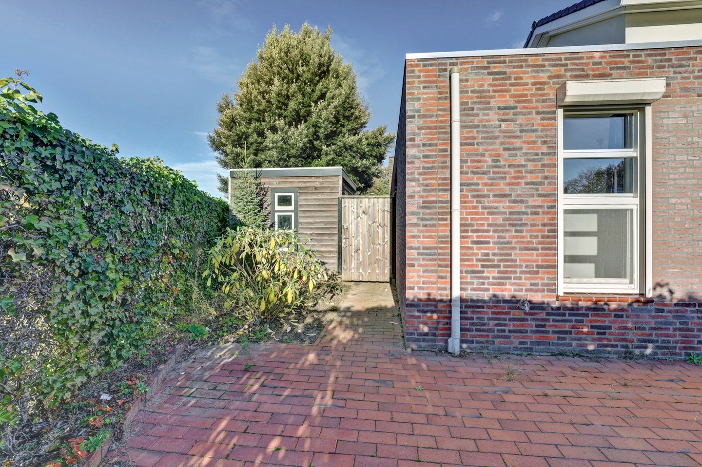 Foto 20 van Greyenstraat 41