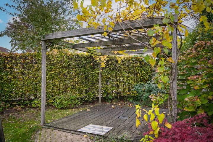 Photo 51 of Burcht 2