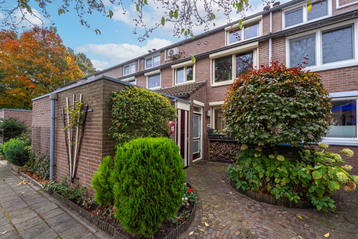 Foto 6 van Brechtje Spiegelerf 27