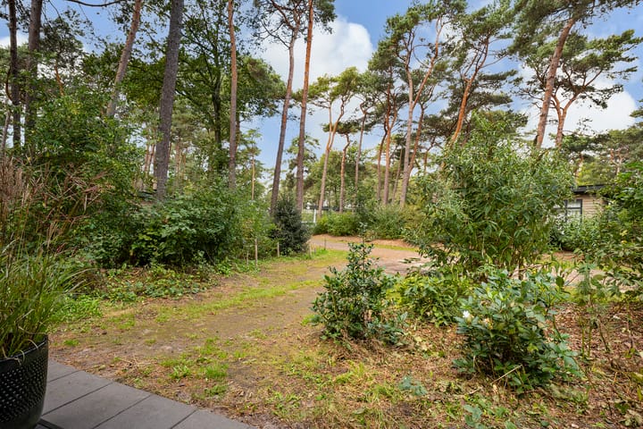 Photo 2 of Rheezerweg 79-475