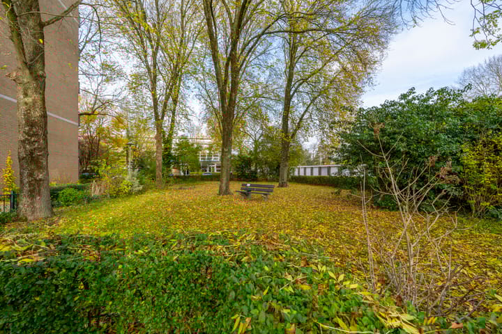 Photo 32 of Hijmans van den Berghlaan 226