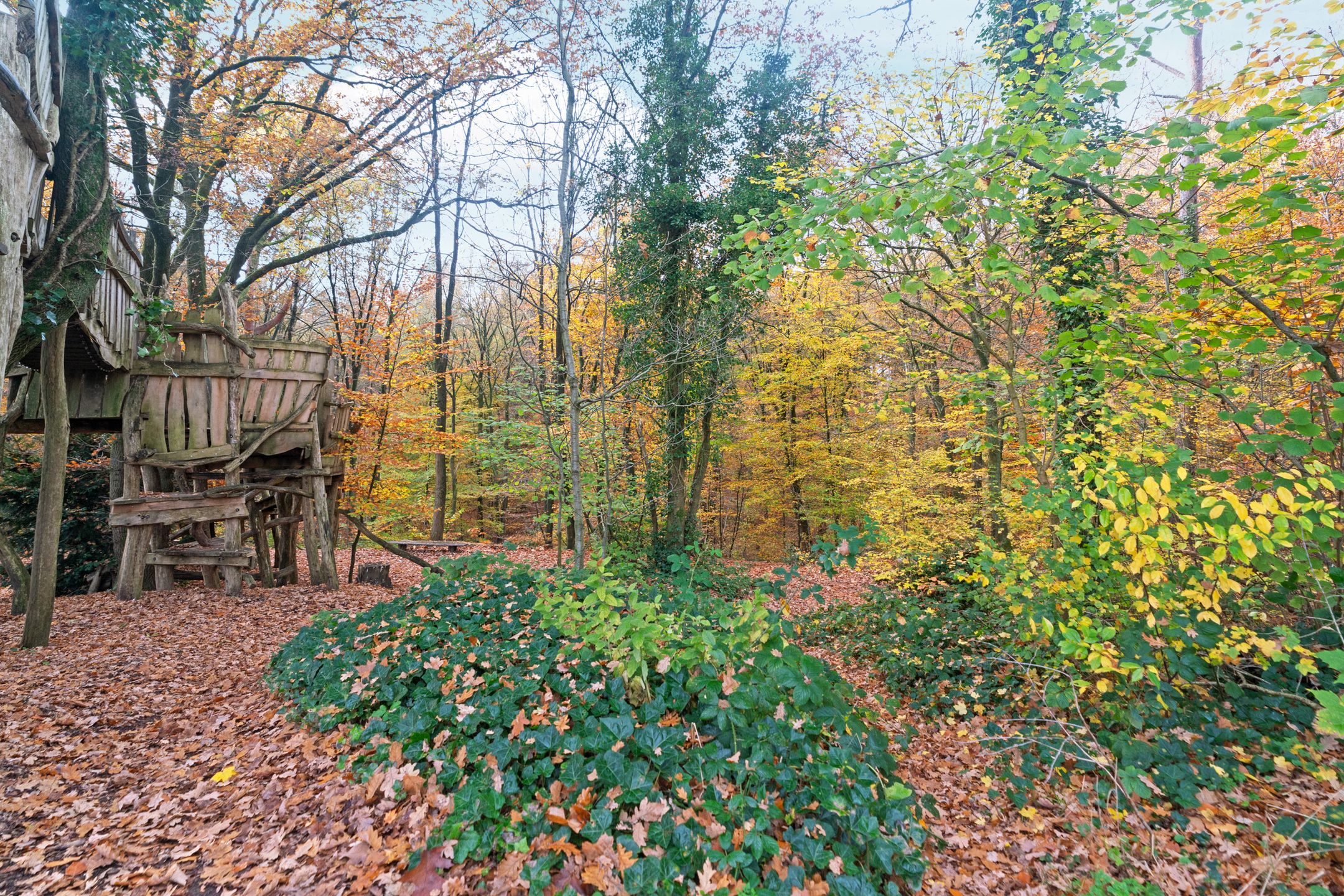 Foto 30 van Stekkenberg 70