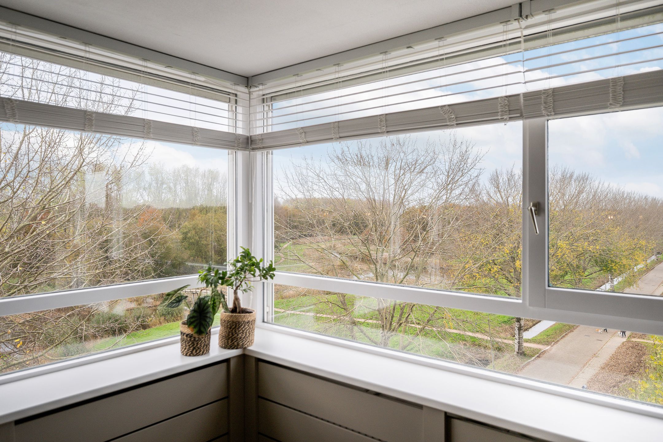 Photo 9 of Arendlaan 50