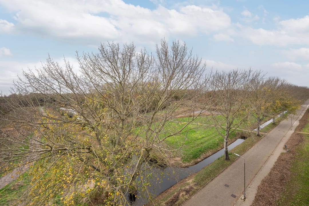 Photo 13 of Arendlaan 50