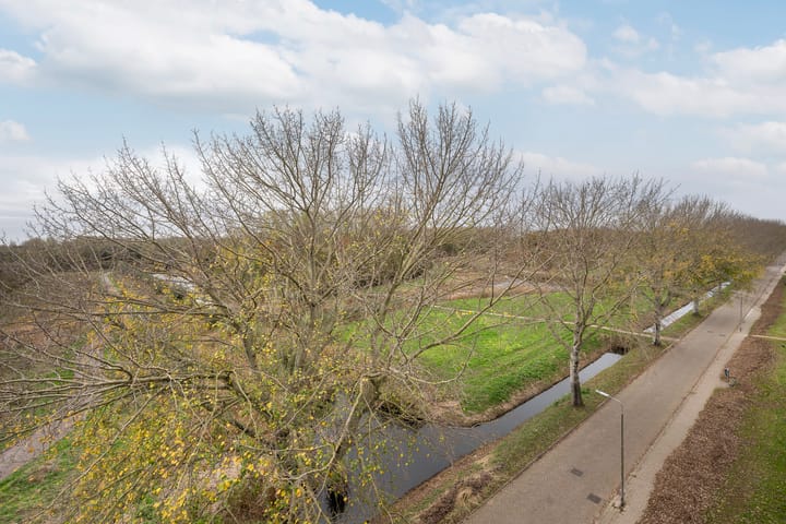 Foto 13 van Arendlaan 50