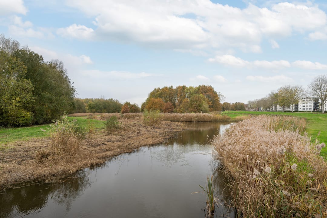 Photo 28 of Arendlaan 50