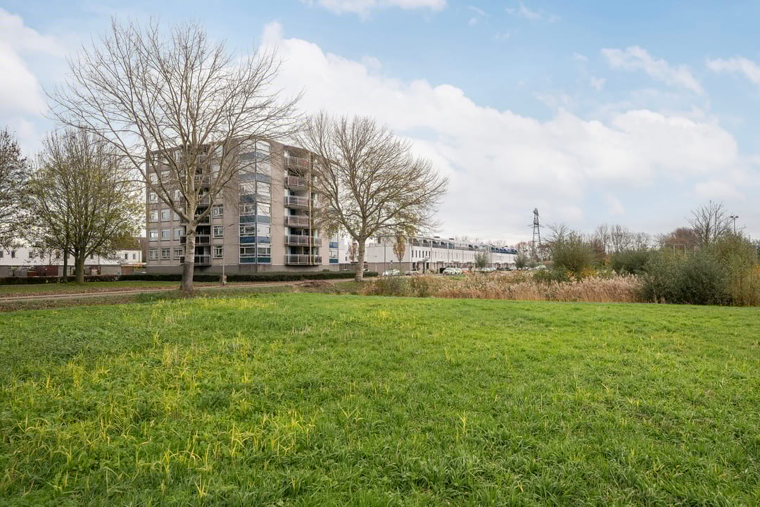 Photo 32 of Arendlaan 50