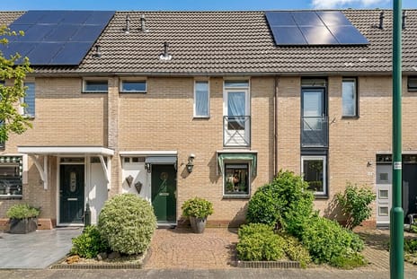 undefined main image