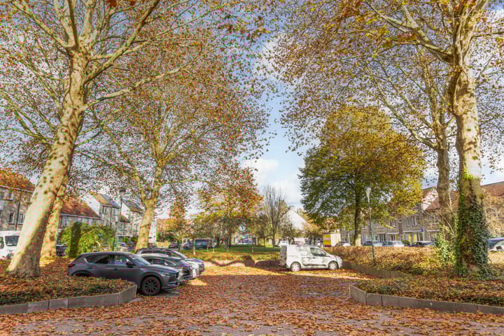 Photo 54 of Bakboord 29