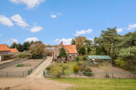 undefined main image